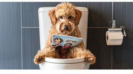 ペットの整腸剤「ビオイムバスター」について解説!